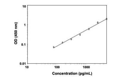 ELISA: Human Notch-1 ELISA Kit (Colorimetric) [KA2219]